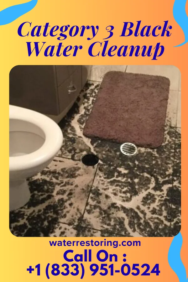 Category 3 Black Water Cleanup in Wausa, NE
